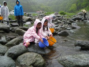 アユを放流する子どもたち