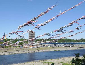 相模川上空を泳ぐこいのぼり＝市提供