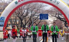 桜まつりメイン