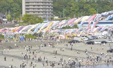 19年に開かれた泳げ鯉のぼり相模川