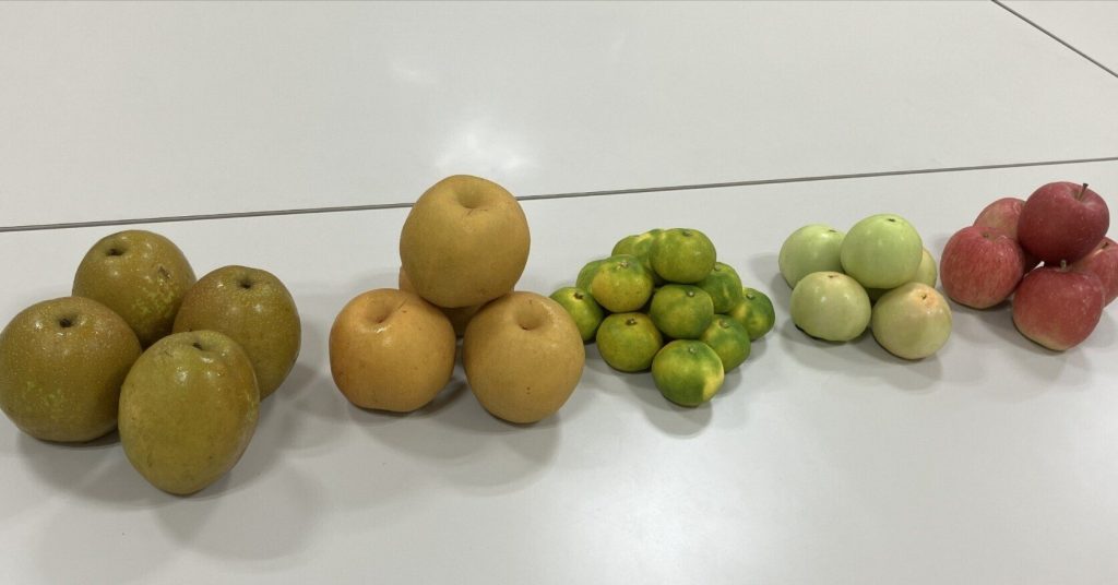 新型補給機HTV-X1、宇宙へ「秋の味覚」届ける　りんご・梨・みかんなど国産果物をISSへ　より新鮮な状態で搭載