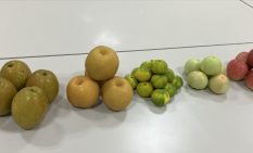 新型補給機HTV-X1、宇宙へ「秋の味覚」届ける　りんご・梨・みかんなど国産果物をISSへ　より新鮮な状態で搭載