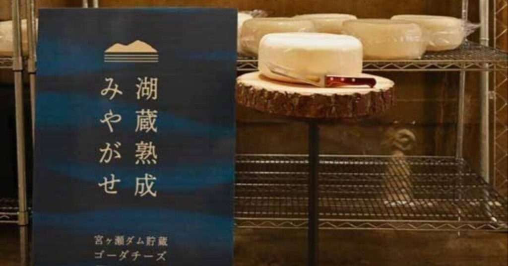 宮ケ瀬ダムの熟成チーズ初解禁　「湖蔵」で香りコク増