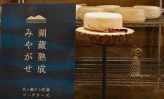 宮ケ瀬ダムの熟成チーズ初解禁　「湖蔵」で香りコク増