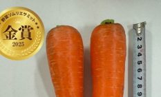 海老名産「アロマレッド人参」金賞　野菜ソムリエサミット12月度