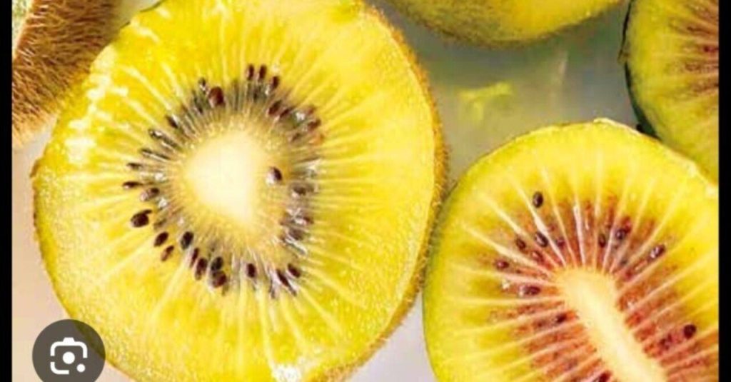 相模原市産キウイフルーツ、ブランド名掲げ市民朝市で特別販売へ