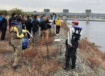 相模川でアユ産卵期の現場視察　有識者交え、生息環境を確認