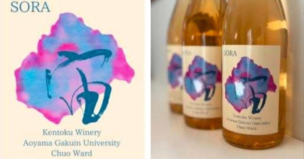 【相模原】青学×地元ワイナリー、相模原産ワイン完成　中央区協働事業で学生が醸造工程に参加