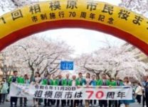 【相模原】市民桜まつりがことしも　4、5日の2日間で開催