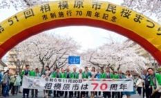 【相模原】市民桜まつりがことしも　4、5日の2日間で開催